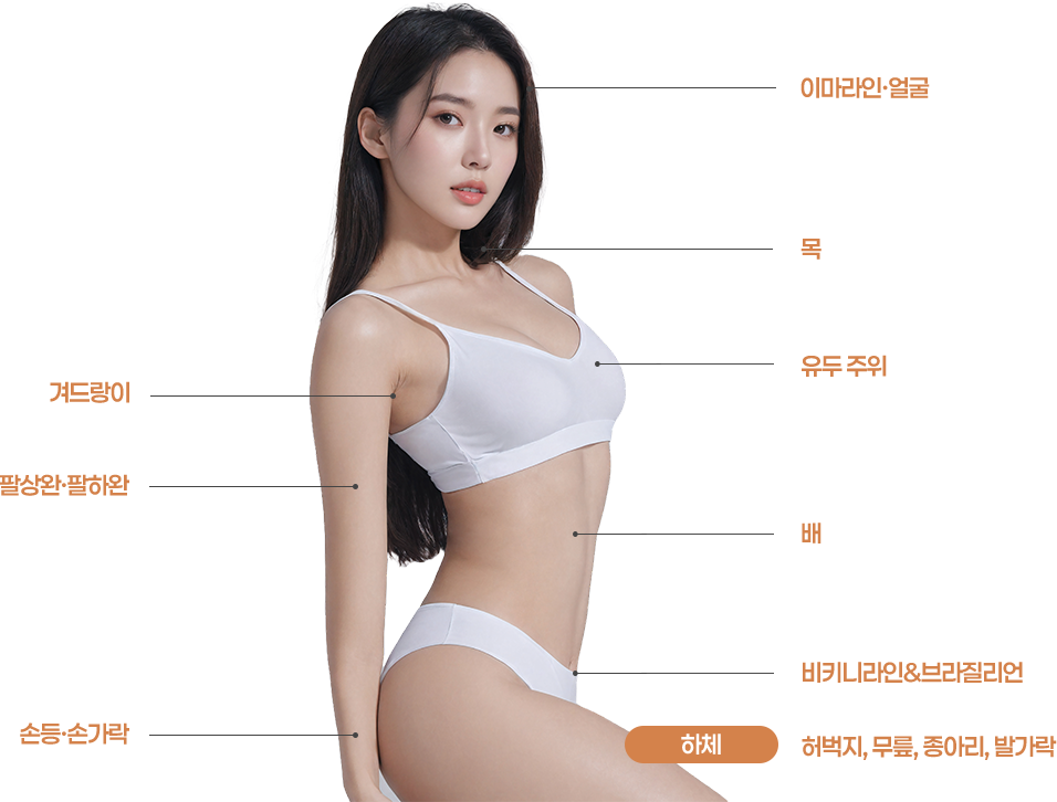 여자 모델 사진